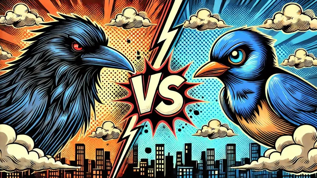 Solana Blinks vs Bitcoin Ordinals: A Comprehensive Comparison