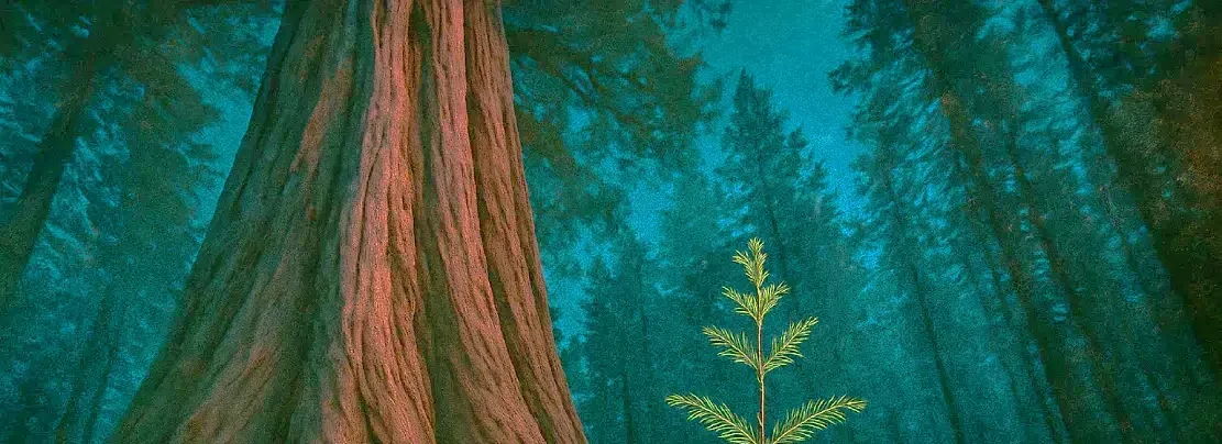 Every Tree is a Pipe Dream: Helping Ideas to Grow